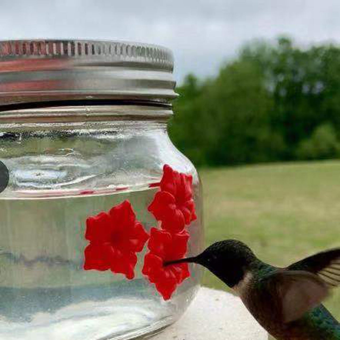 Comedero para colibríes Comedero para pájaros de plástico con flores