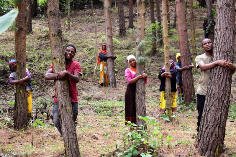 Bolsa para árboles: cultiva un árbol y plantaremos 10 más