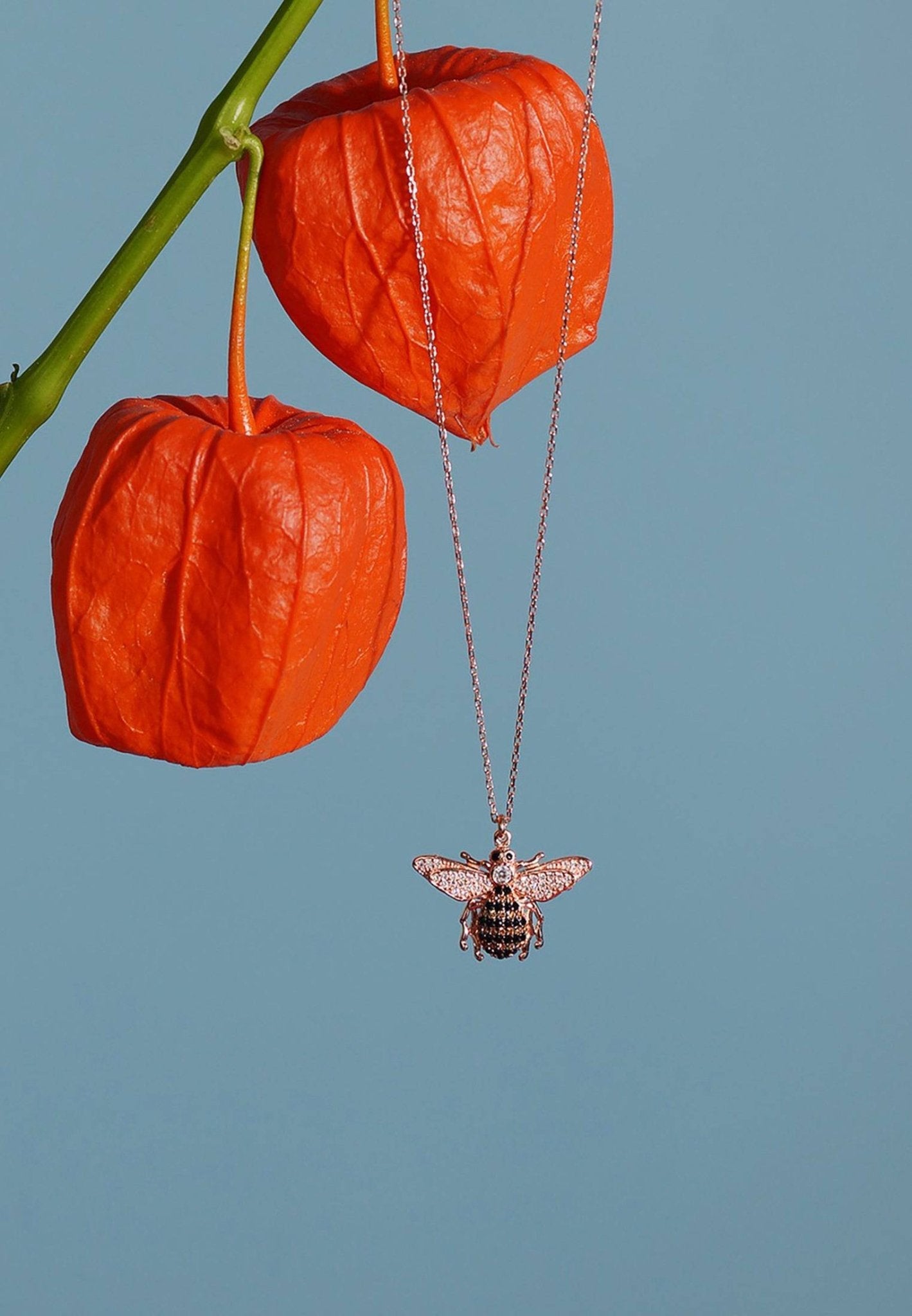 Collar con colgante de abeja de miel en plata